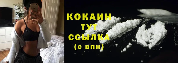 прущие грибы Мегион