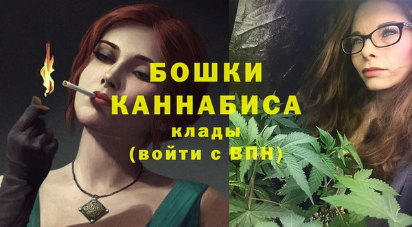 прущие грибы Мегион