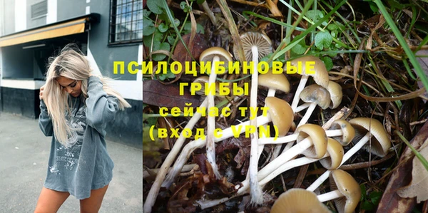 гашиш Магас