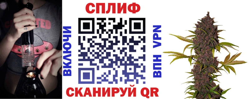 где купить наркоту  Черепаново  Бошки марихуана сатива 